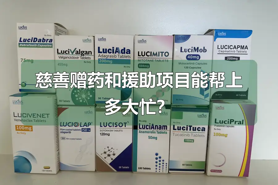 慈善赠药和援助项目能帮上多大忙？